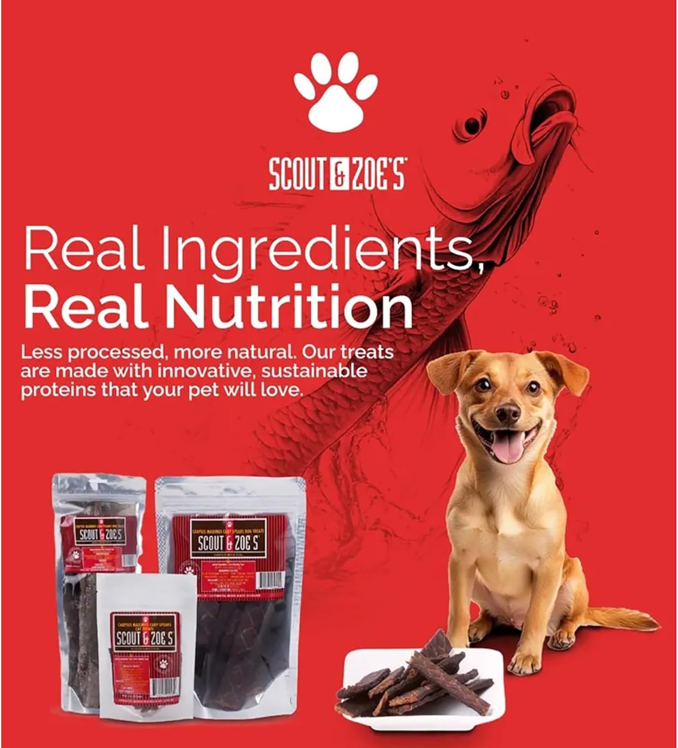 Scout and Zoe’s Carp Planks Dog Treats, Made in USA, Single Ingredient Fish Skins, Crunchy, Omega-3 Rich, No Additives, Fillers or Mercury, Safe for All Life Stages