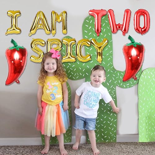 Miniatura 5 de THREE REX 16 carteles con texto en inglés "I AM TWO SPICY 2nd Birthday para niñas, decoración de fiesta de cumpleaños con globo de aluminio de chile