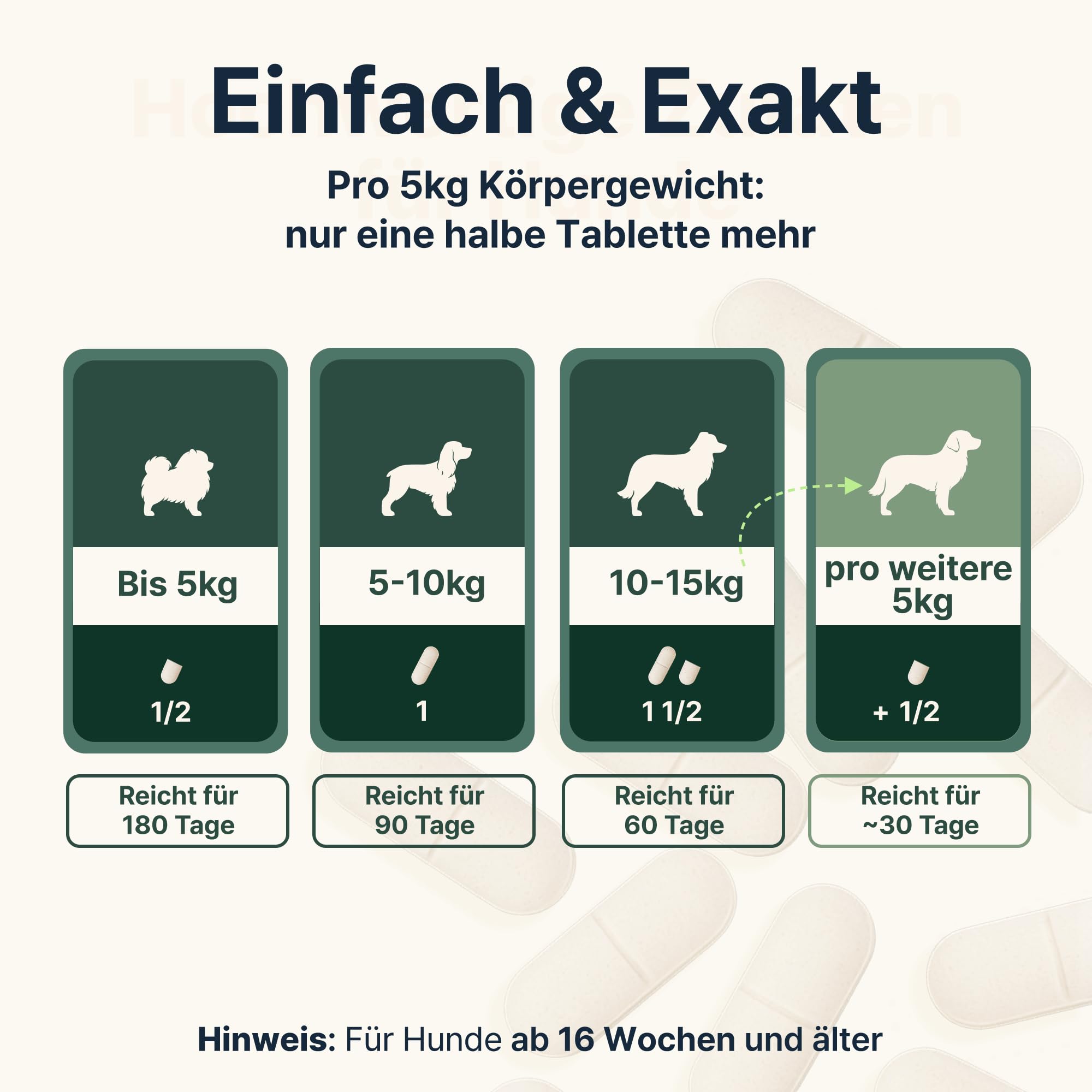 Gelenktabletten Hund, Apotheker Rezeptur, 90 Stück reicht bis zu 6 Monate, von Apothekern entwickelt & Tierärzten geprüft, mit Grünlippmuschel hochdosiert, Glucosamin, MSM, Chondroitin, Teufelskralle