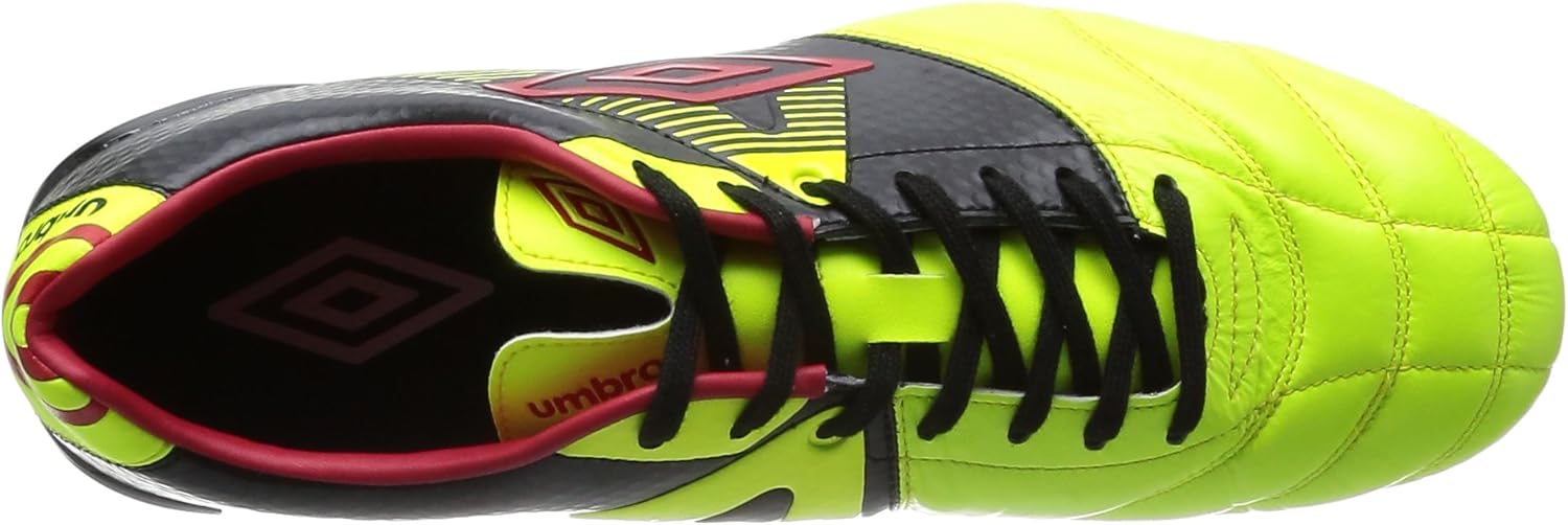 木彫 海棲爬虫類 プラテカルプス 頭骨模型15cm