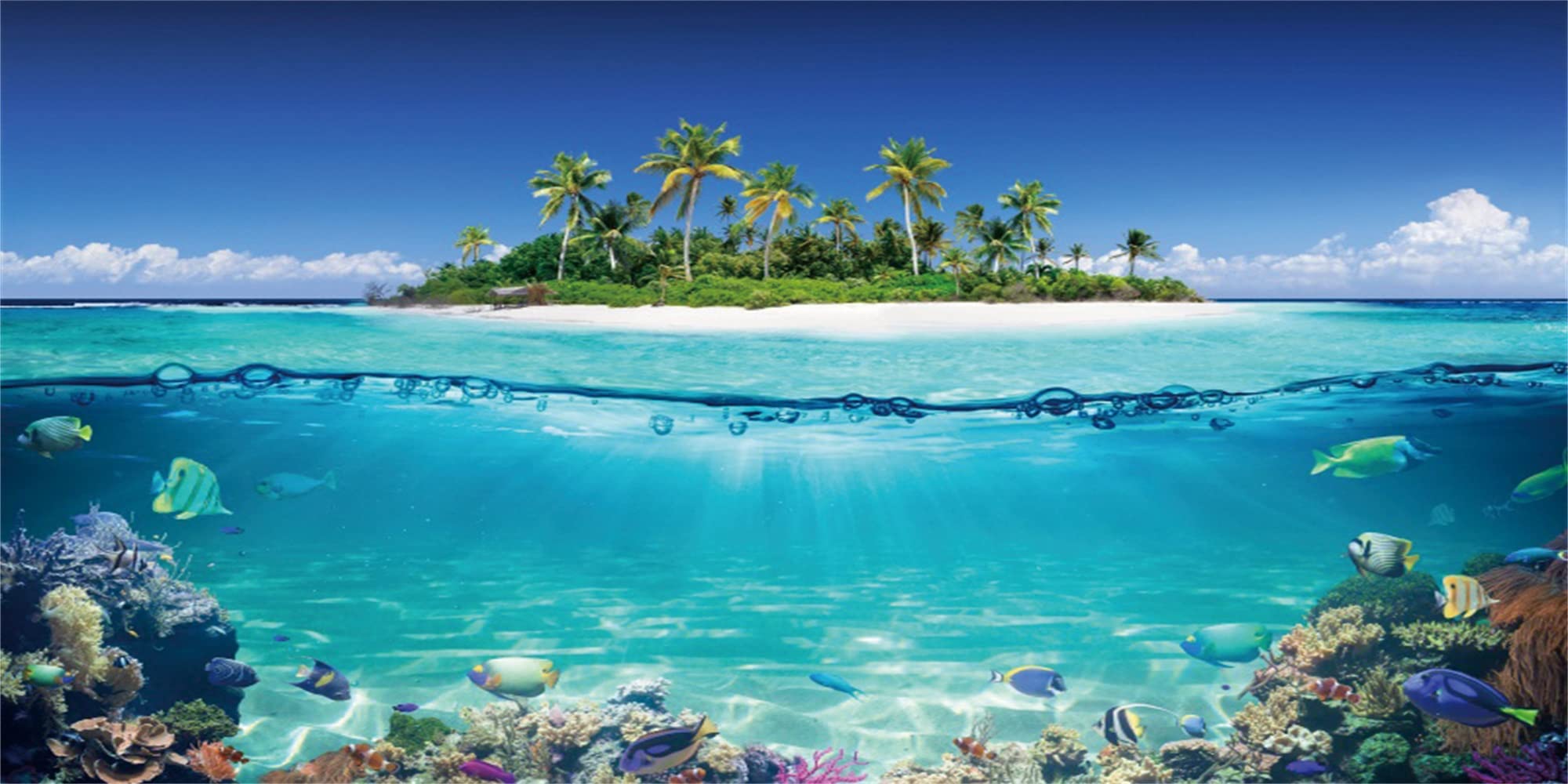 MIRRORANG 91x50cm Tropical Aquarium Background Undersea Fish Beach Sunshine Underwater World Fish Tank Background — image 1