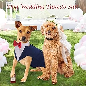 Pet Dog Tuxedo Suit Formal Wedding Shirt,Dog Costume with Bow Tie for Small Medium Large Breeds,Prince Suit with Detachable Bowtie Collar Bandana,Party Dress-up Cosplay Holiday Wear for Boy Dogs