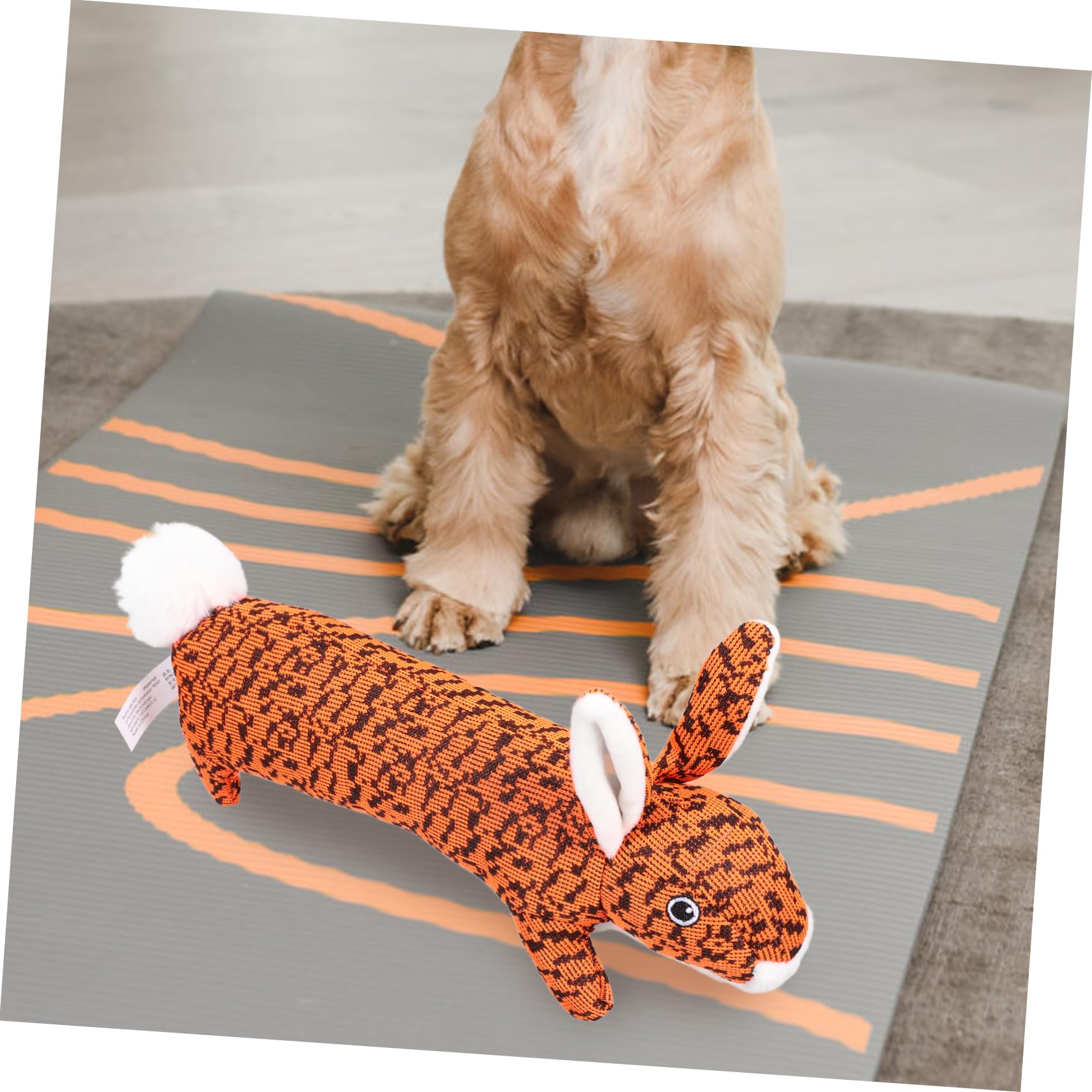 FRCOLOR 3 Stücke Haustier Quietschendes Kauspielzeug Design Hund Quietschendes Spielzeug Für Spielen Pet Supplies Orange Hund Kauspielzeug