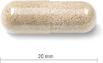 Jamieson Fer 28 mg, avec acide folique, vitamine B2, Vitamine B12, et la vitamine C, aide à prévenir les carences en fer, fournit une absorption supérieure, et doux sur l'estomac. 90 Gélules végétariennes