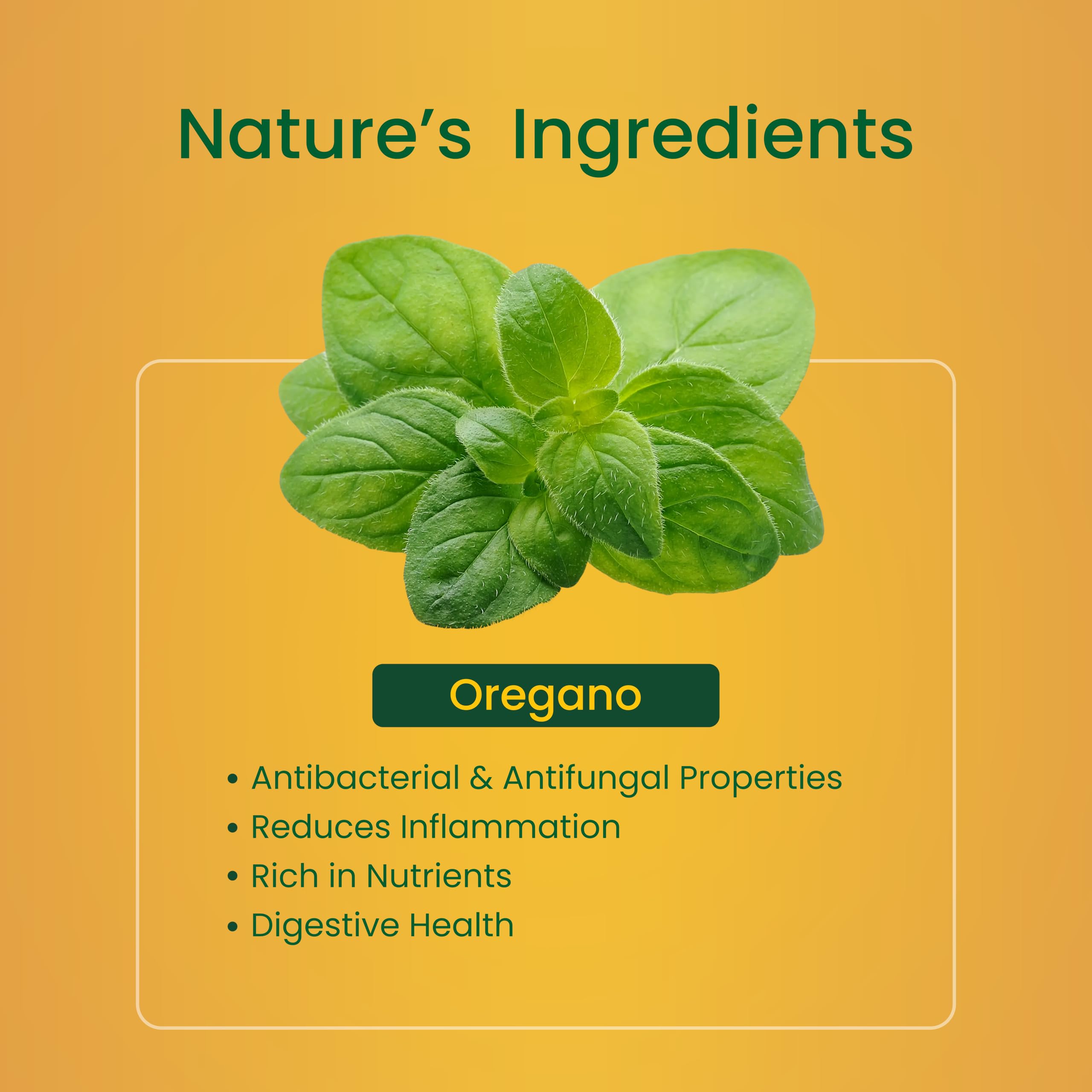 Amazing Herbs Black Seed with Oil of Oregano Liquid Drops - 1 fl oz — Amazon image 5