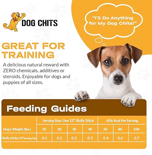 Miniatura 6 de Dog Chits Bully Sticks para perros y cachorros  6 pulgadas, paquete de 12  Natural saludable de larga duración masticable para perros grandes y