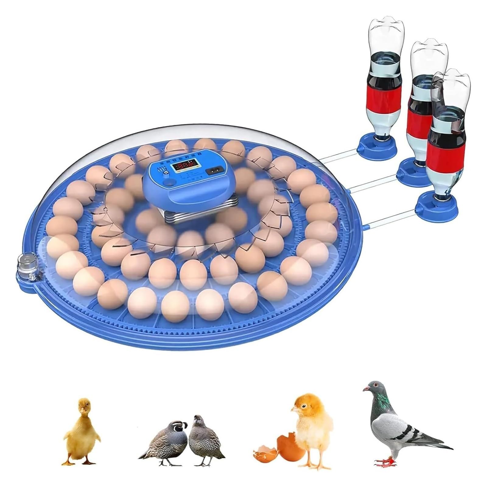 Inkubator Jaj, Automatyczny Inkubator, Inkubator od 8 do 62 jaj z automatycznym obracaniem i dodatkiem wody, odwrócona osmoza, do inkubacji kurcząt, kaczek i gęsi.(62eggs)