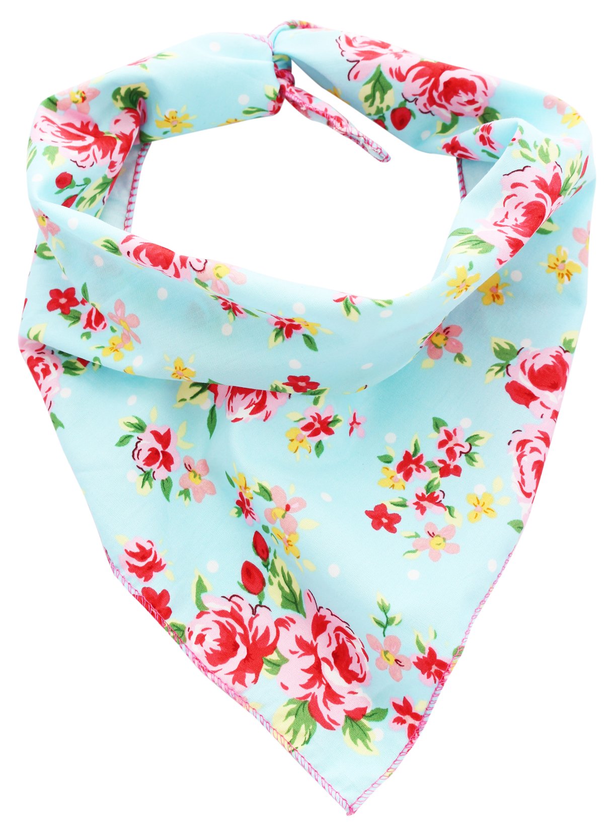 Pet Pooch Boutique Vintage Bandana for Dog, Small/Medium, Blue