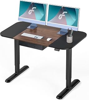 Fenge Electric Standing Desk - 120×63.5cm Height Adjustable Sit Stand Desk with Drawer and Hook, Ergonomic Home Office Desk(Black + Brown Top)