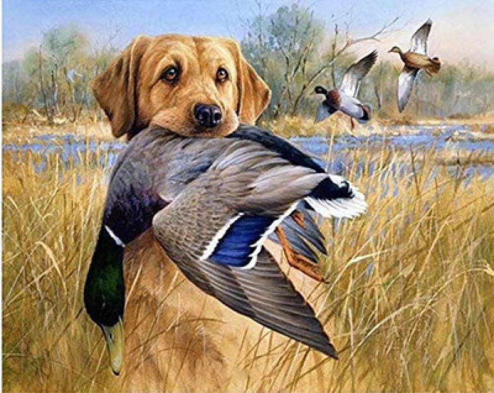 Broderie diamant 5D grand format 60x85cm pour réussir une mosaïque intégrale de Golden Retriever