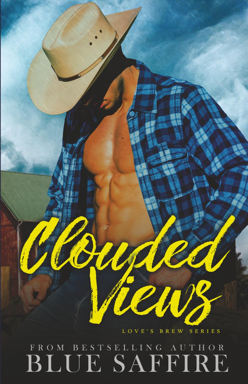 Clouded Views: Love's Brew Series: 3