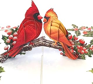 By 22CRAFT- Cardinal Couple Christmas Card, Pop Up Christmas Card, 6