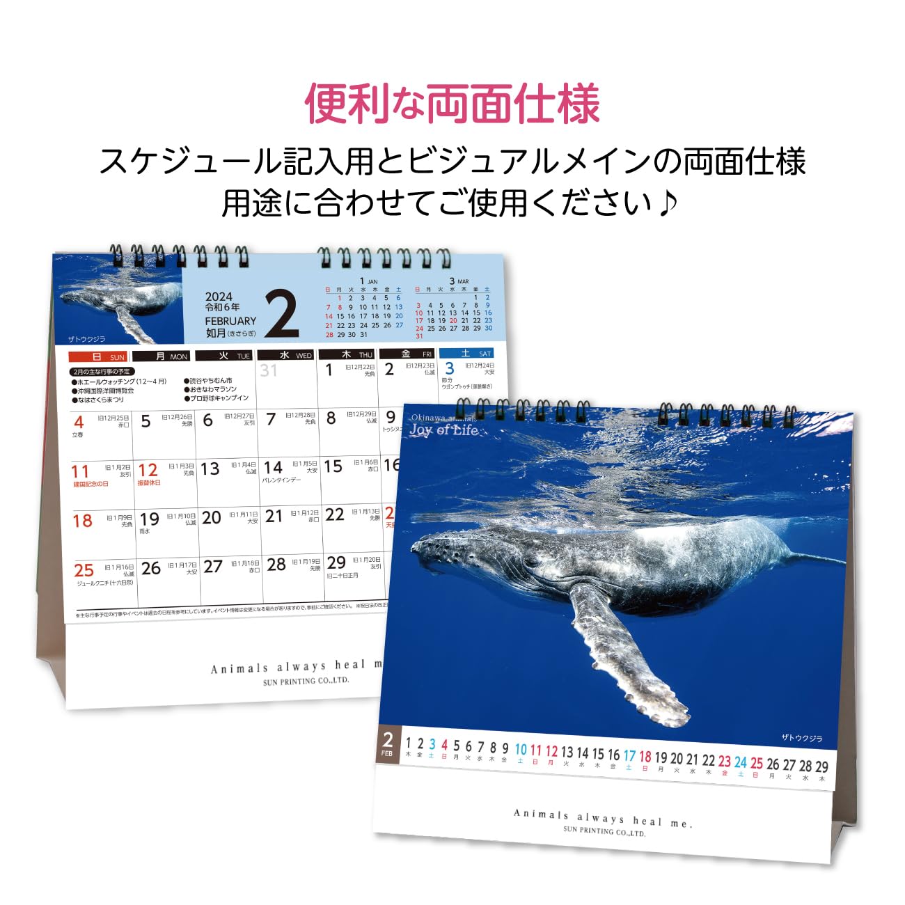 Amazon.co.jp: 2024 OKINAWA CALENDAR（沖縄卓上カレンダー） 旧暦・六