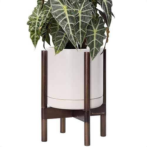 D'vine Dev Ceramic Pot with Walnut Wood Stand, Oatmeal, 10 in, 55-B-X-8 | Mid-Century Modern Design, Raised Plant Display, Solid Beech Wood Stand, Premium Craftsmanship, Sophisticated Home Decor