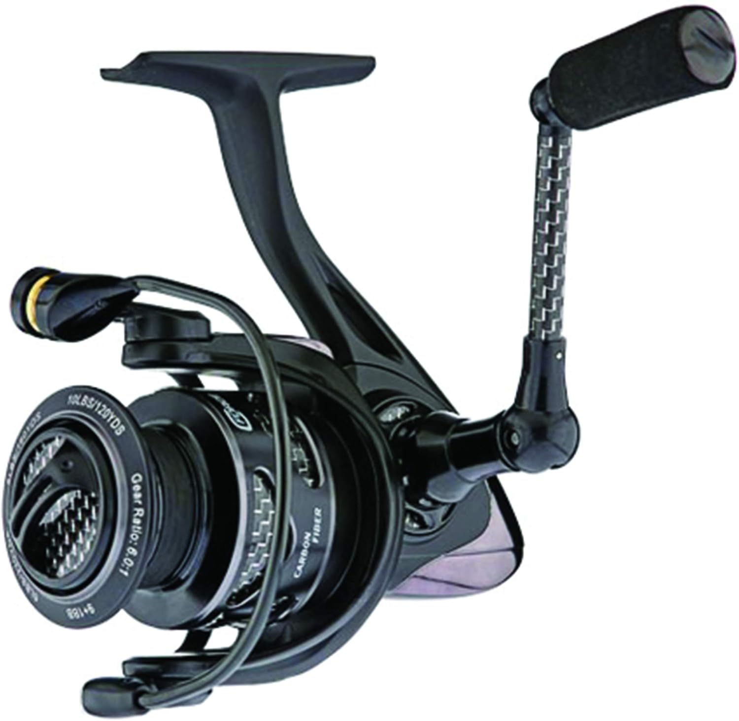 Spinning - CFORCE - 2000 Size