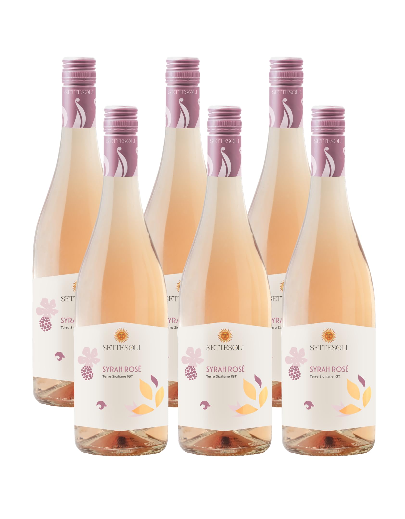 Settesoli Syrah Rosé vegan – Trockener leichter Roséwein aus Sizilien (6 x 0,75L)