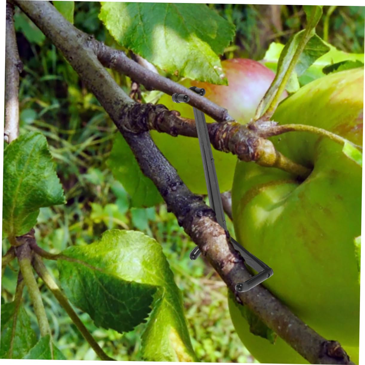 Toyvian 4 Sätze Pflanzenclips Verstellbare Zweigspreizer Für Obstbäume Langlebig Und Wiederverwendbar Zur Formgebung Und Wachstumsoptimierung Im Garten 30 Stück * 4
