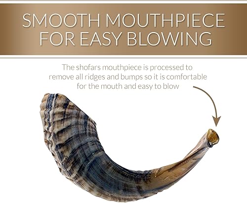 Miniatura 4 de Cuerno de carnero inodoro kósher con apariencia natural, shofar pulido con linda bolsa de transporte protectora con cordón ajustable de material