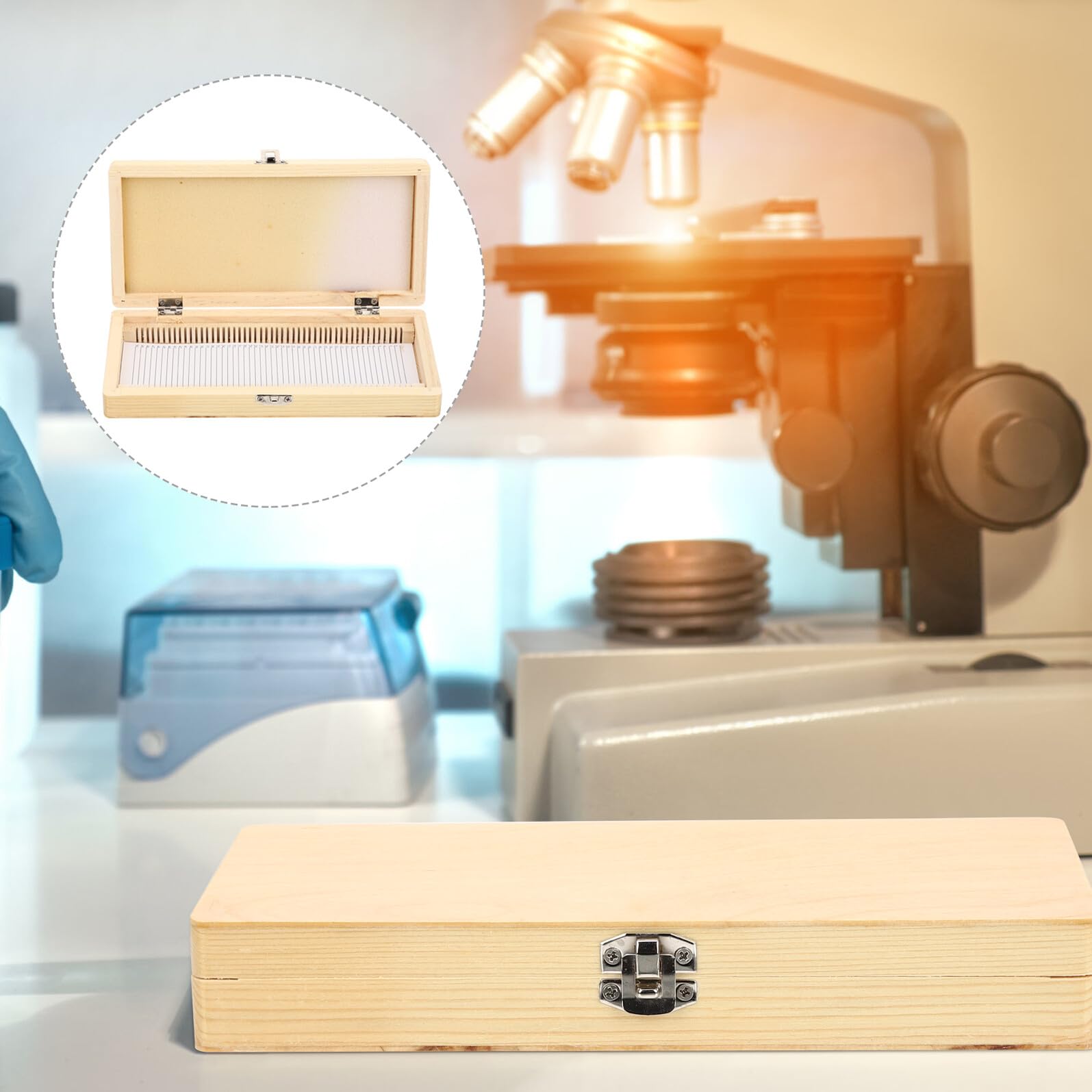 Holz Objektträgerbox für 50 Stück mit Edelstahl, Nummeriert
