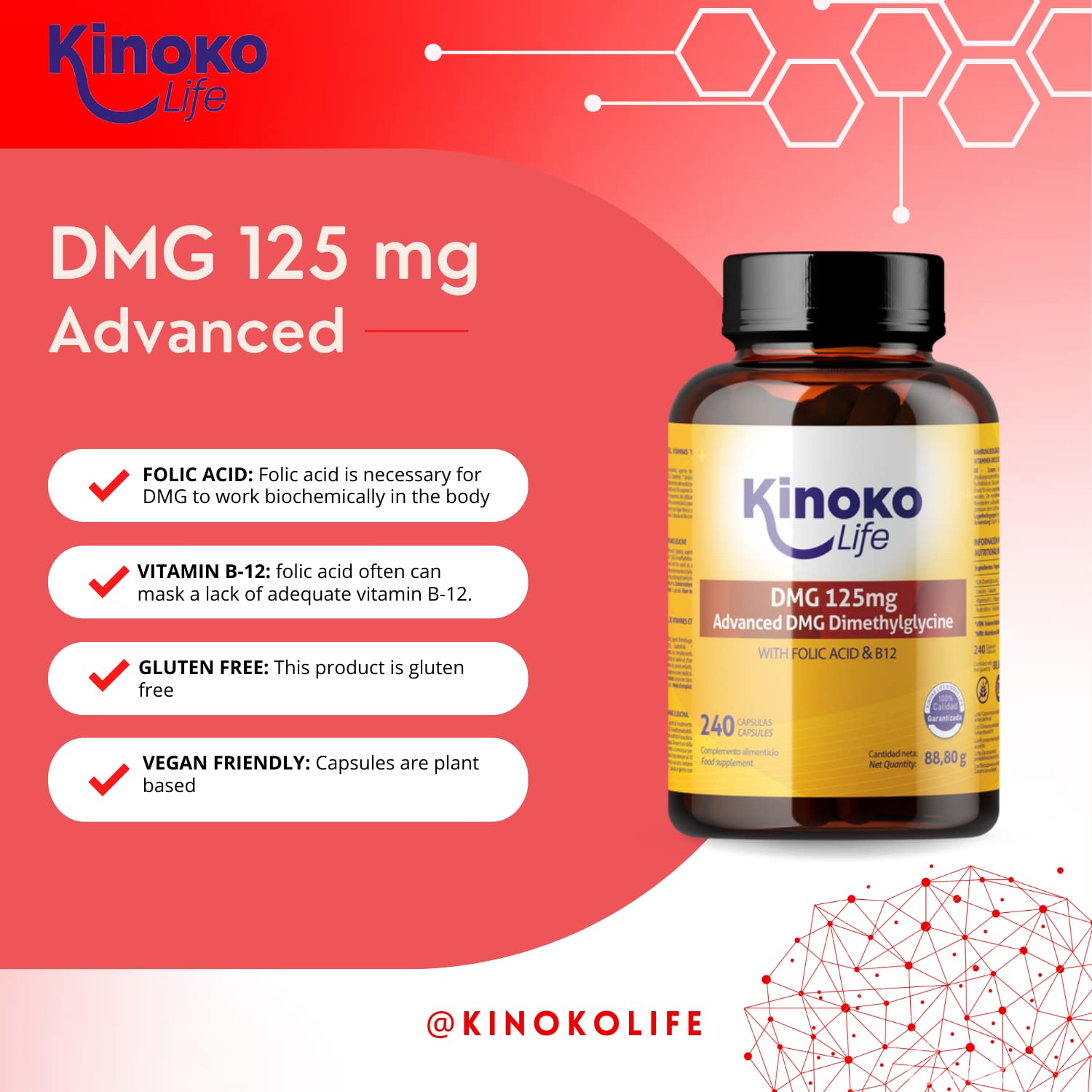 DMG Advanced 125 mg, 240 capsule Dimetilglicina pura. Con Acido Folico e B12 per un migliore assorbimento del DMG. Senza Glutine, Non OGM, Vegan Friendly. Memoria, Stress, Concentrazione