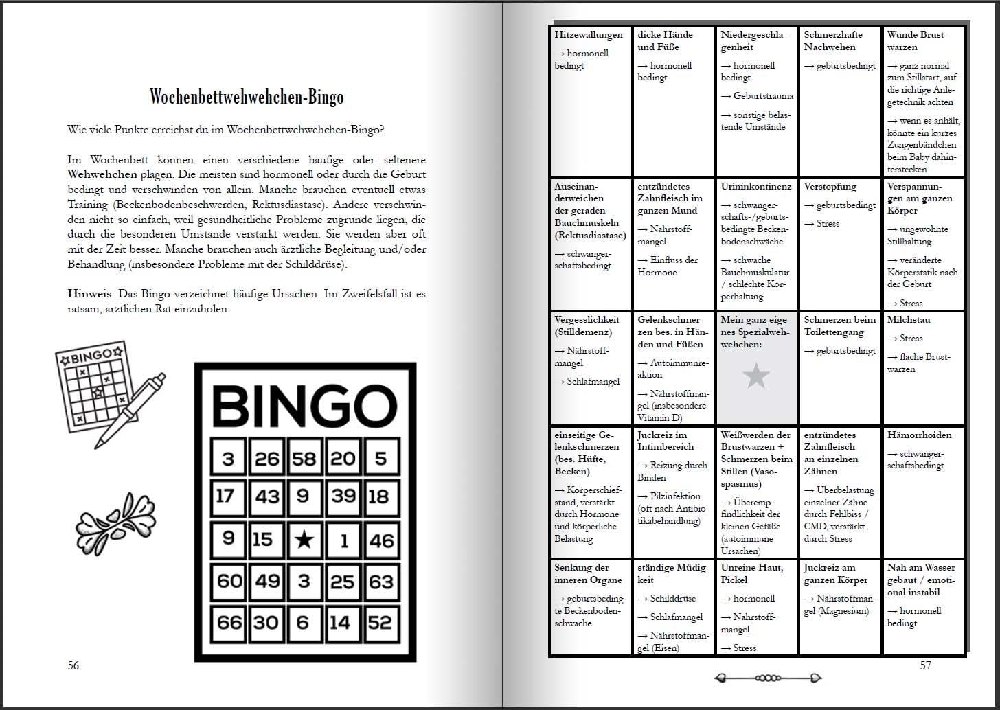 Wochenbett - Überlebenshandbuch, Tagebuch und Anker für die ersten Wochen nach der Geburt: Basiswissen, Illustrationen und Übungen, Praxistipps