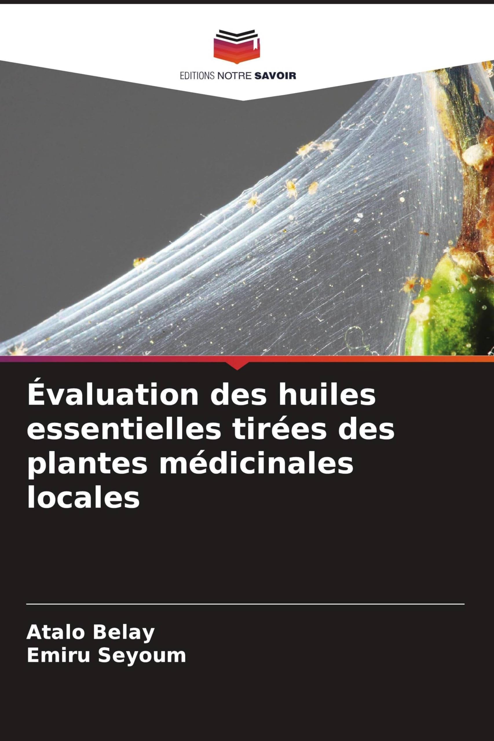 Évaluation des huiles essentielles tirées des plantes médicinales locales