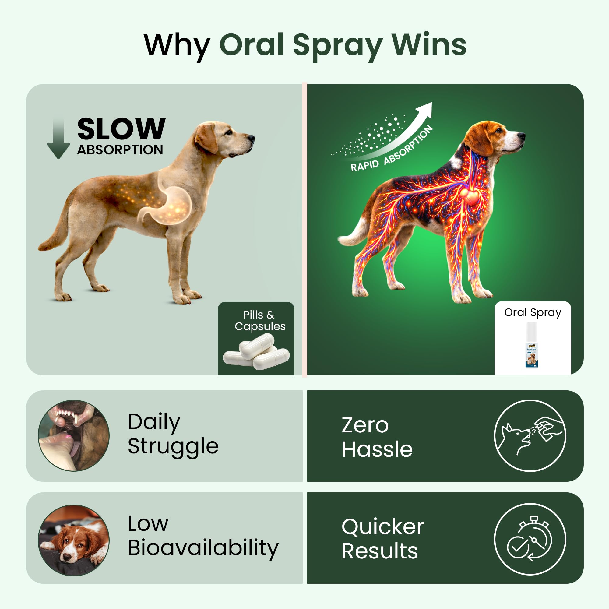 Vetonnix Hemp Seed Oil for Dogs & Cats | Dog & Cat Calming Spray | Reduces Anxiety, Prevents Skin Allergies, Stress Relief | CBD Oil for Dogs | 3X Absorption Than Oil, Strips | Oral Spray - 20 ml 4