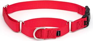 PetSafe Martingale Collar with Quick-Snap Buckle - Adjustable No-Slip Quick Release Dog Collar - Everyday Wear No-Pull Training Aid - 1" Wide - Large - Red