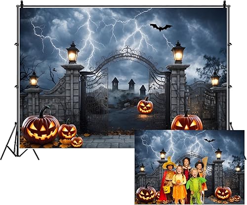 Renaiss Telón de fondo de cementerio embrujado de Halloween de 7 x 5 pies para fotografía, noche de terror, relámpago, murciélagos voladores,