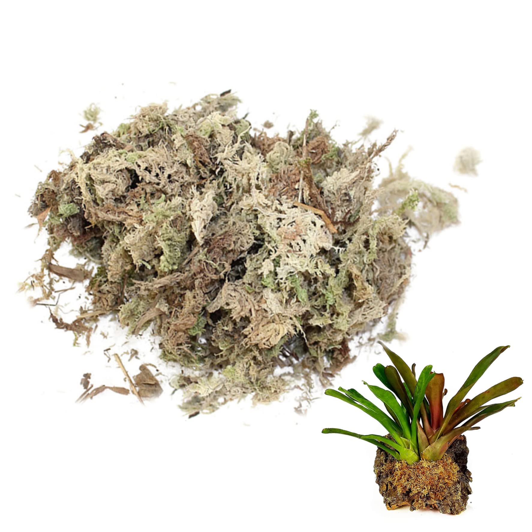 Hoveeluty Dry Moss Sphagnum Moss Dried Spagnum For Reptiles Bedding And Terrarium Pet Supplies 150G