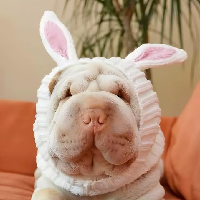 Disfraz de Conejo de Pascua para Perros - Gorro de Punto con Orejas miniatura 8