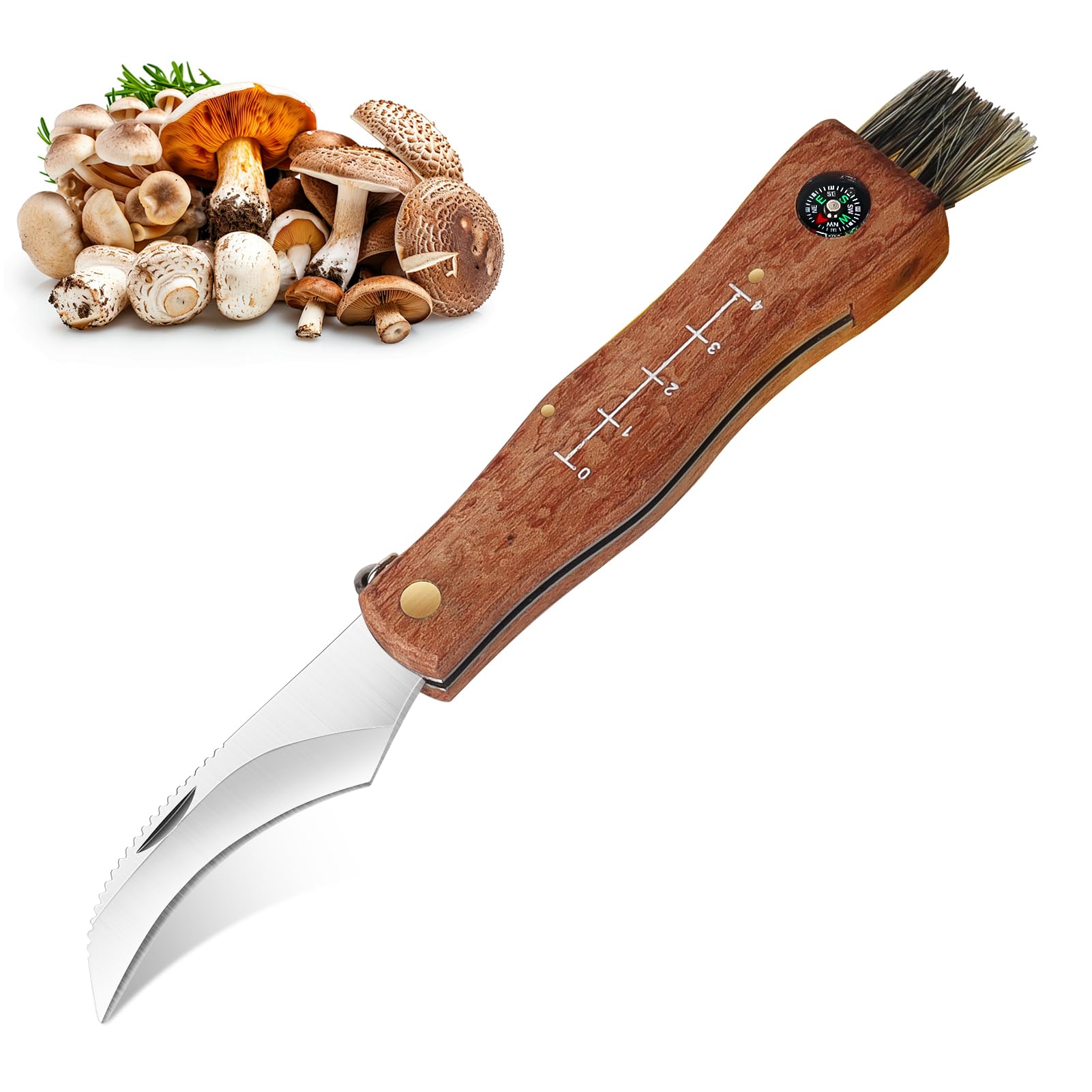 COLTELLO RONCOLA PER FUNGHI MANICO PLASTICA- Casalinghi Shop
