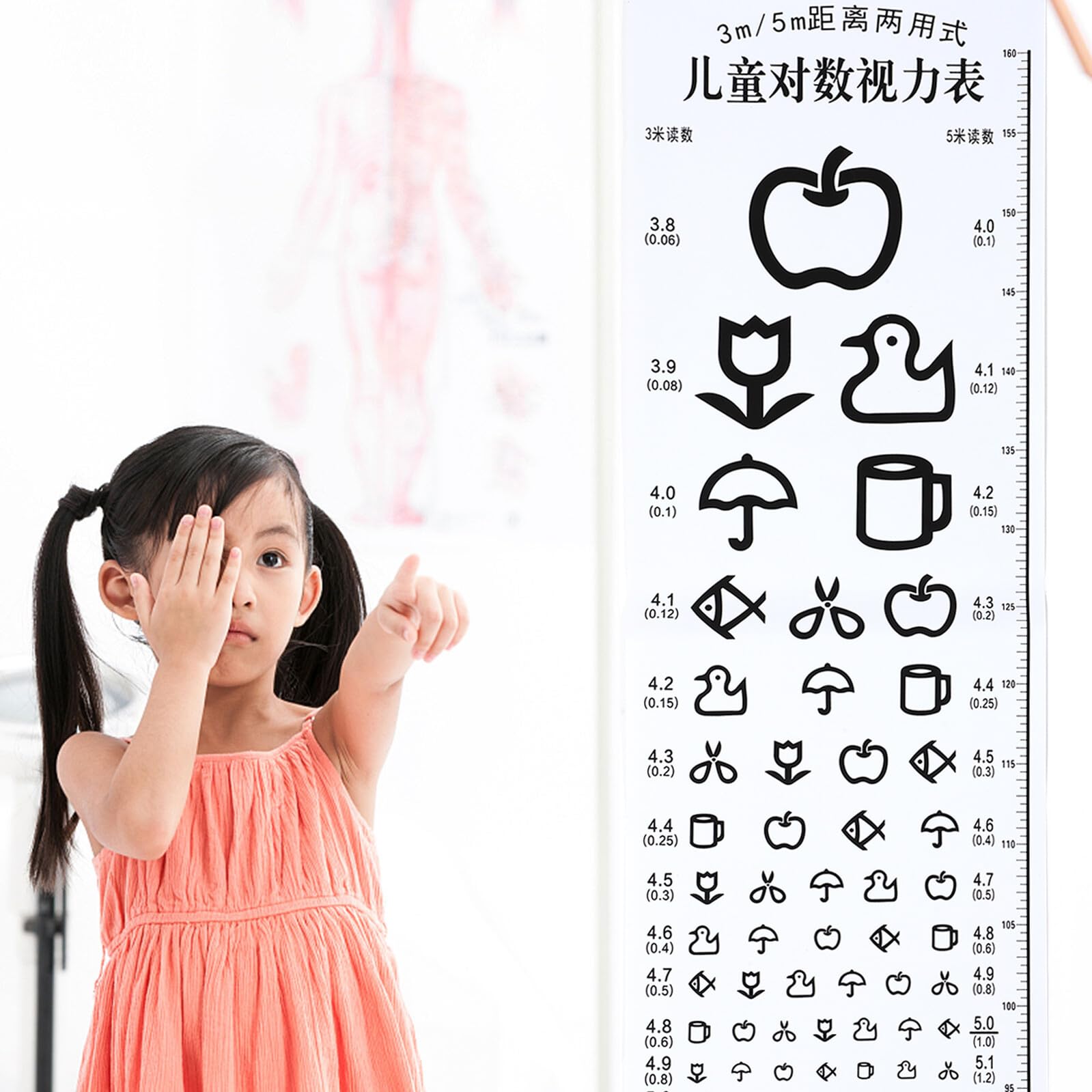 Homoyoyo Tabla Optométrica Escolar para Niños Gráficos de Visión Pediátrica, Herramienta para Detección Temprana en Clínicas y Hogares
