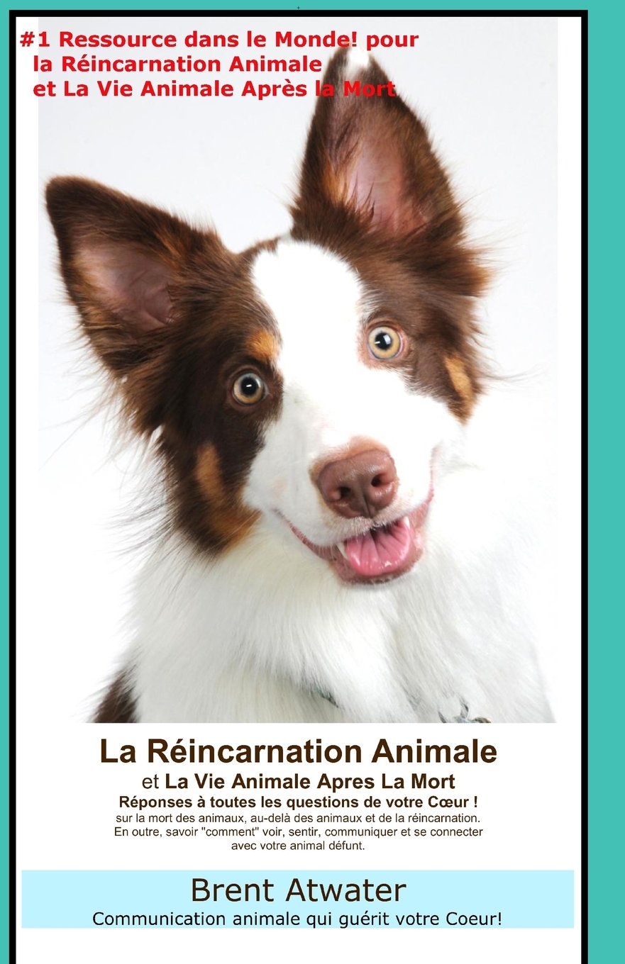 Just Plain Love® Books Reincarnation Animales et La Vie Animale Apres La Mort Réponses à toutes les Questions de votre Coeur