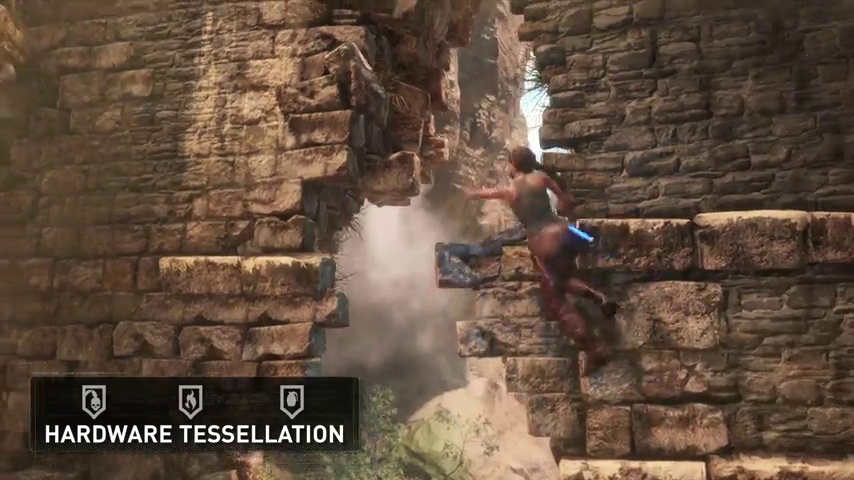 Amazon.com: Rise of the Tomb Raider: 20 Year Celebration