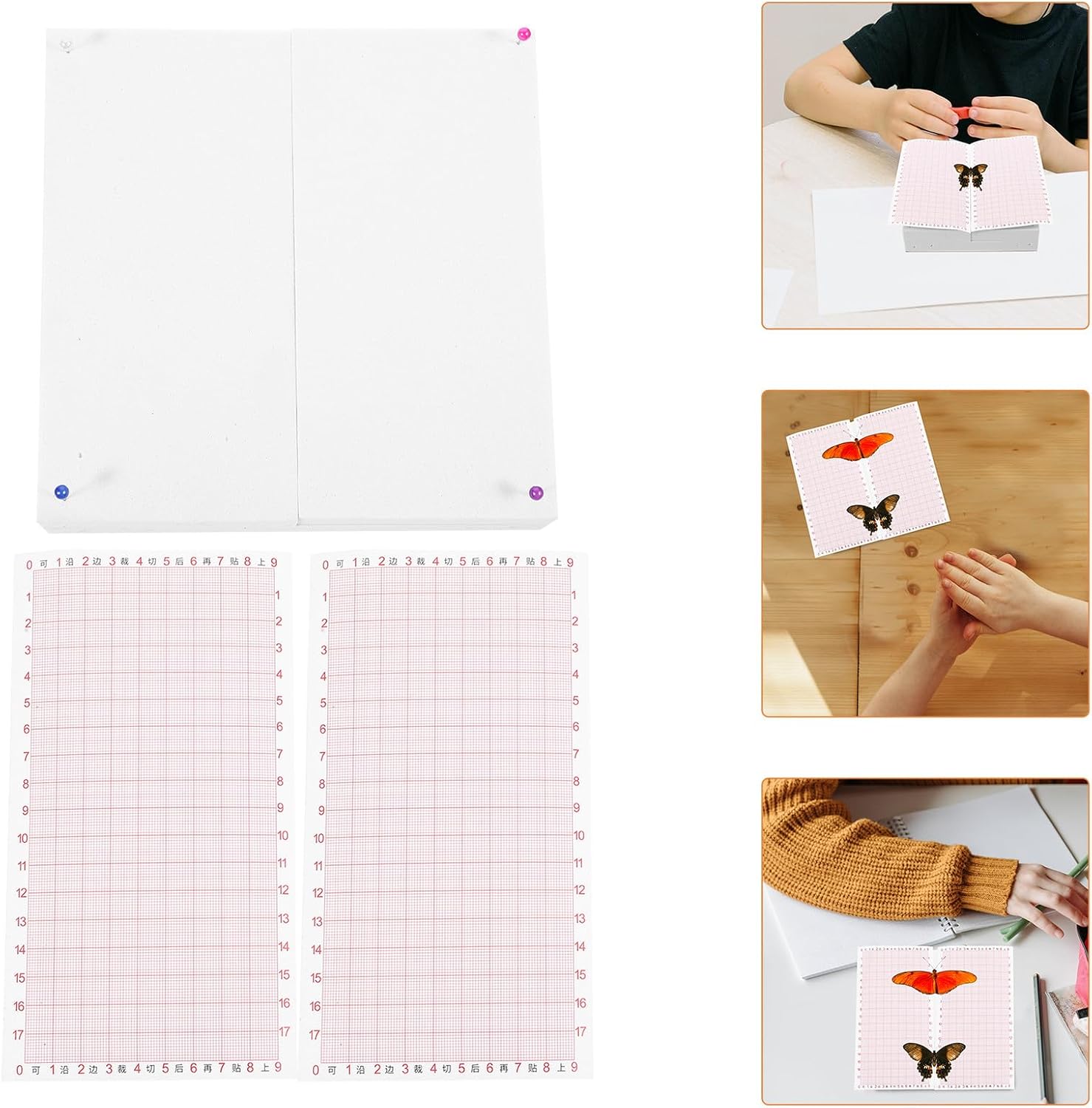 Cabilock Adjustable Insect Spreading Board 14x14cm with Coordinate Stickers Butterfly and Dragonfly Specimen Pinning Plate for Scientific Specimen Mounting and DIY Insect Display