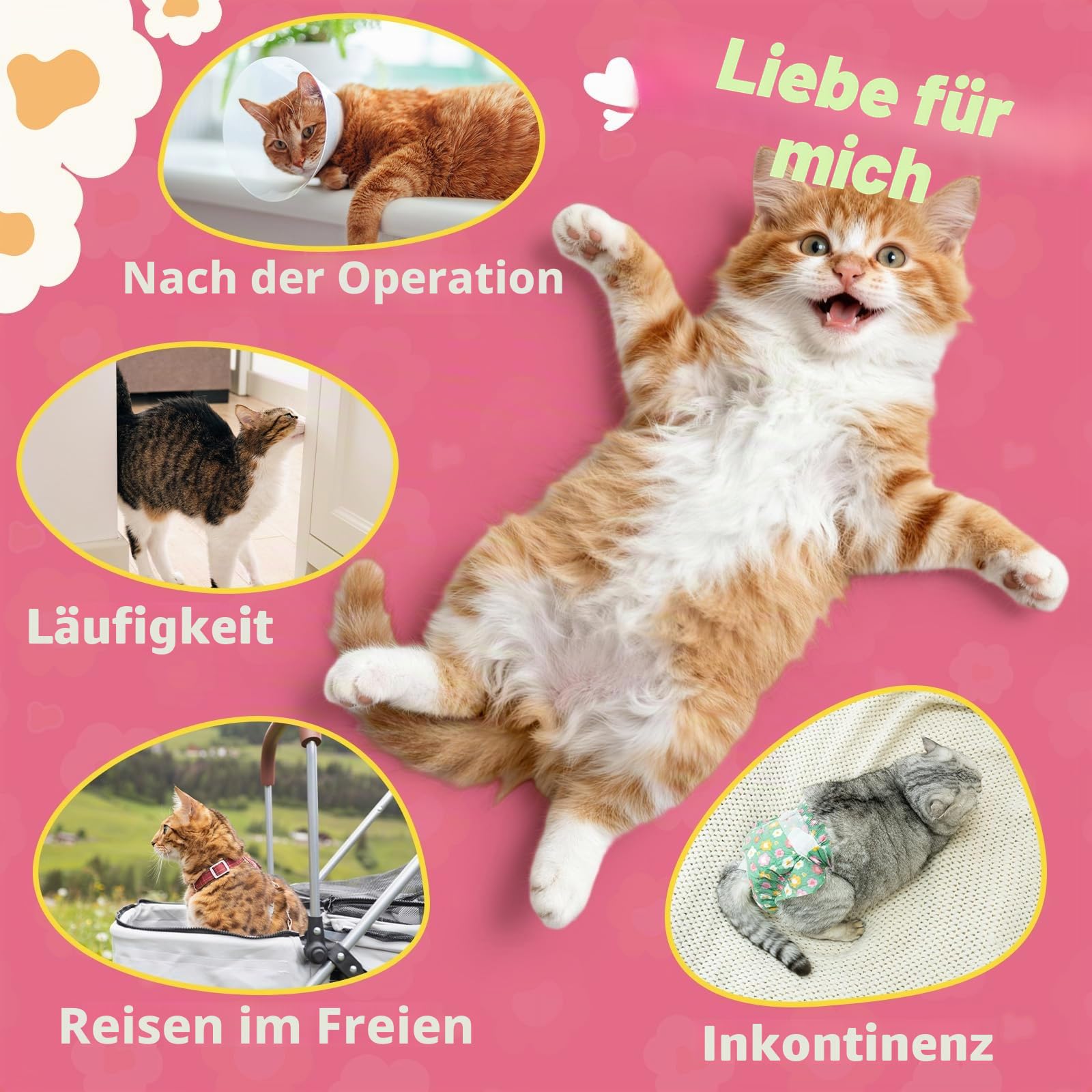 MICOOYO Hundewindeln für Hündinnen, Super Saugfähige Katzen Windeln, Einweg-Katzen-Windelhosen für läufige Hündinnen(S, 24Stück)