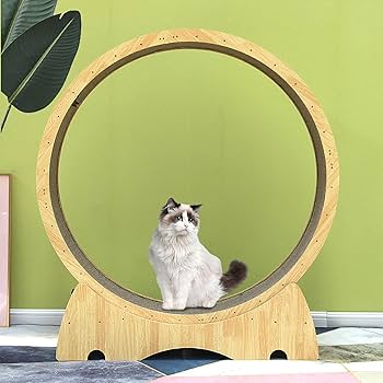 UK Second Hand CuisinSmart Cat Running Wheel Nature Wood Kitty
