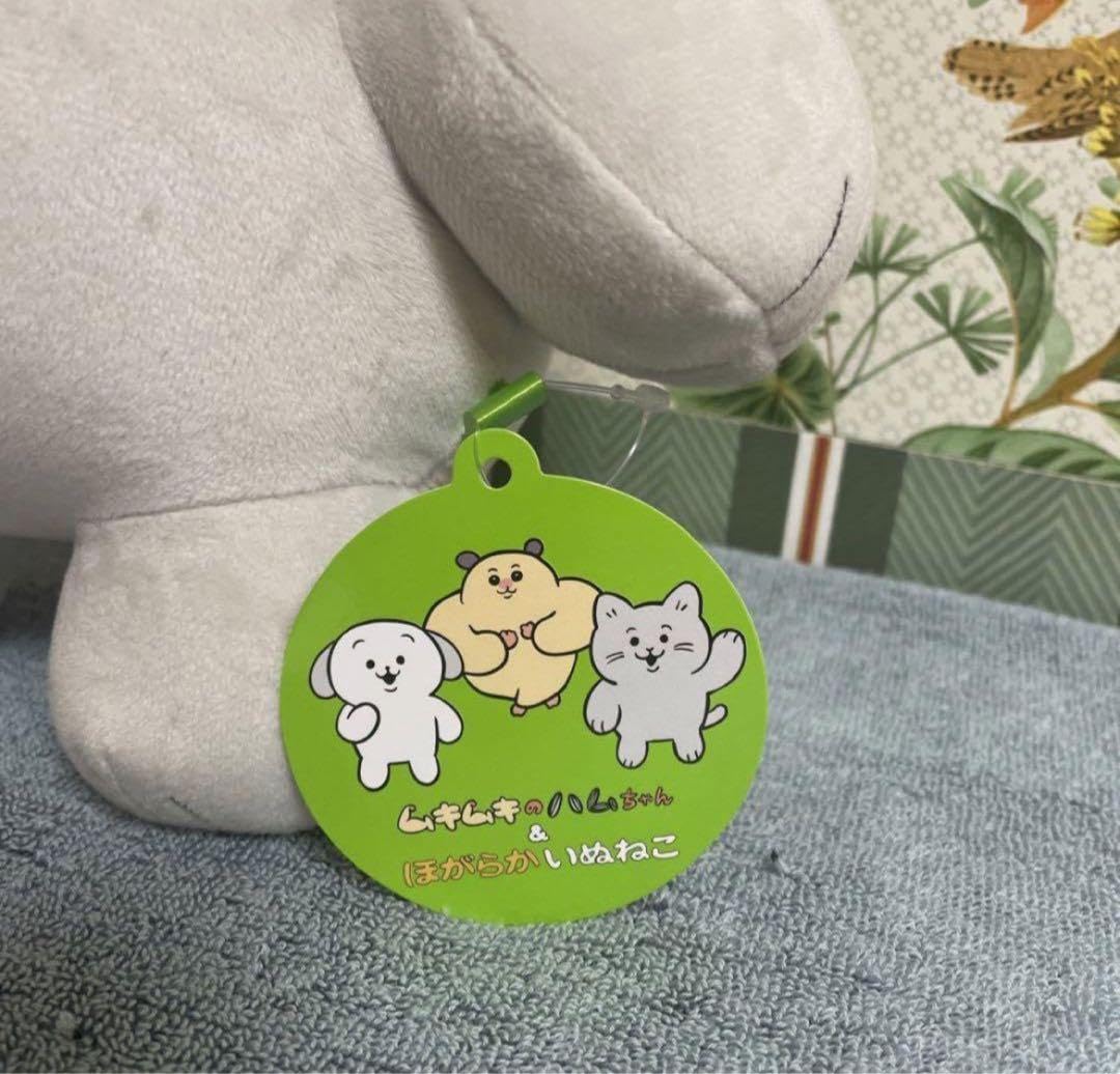 ムキムキのハムちゃん＆ほがらかいぬねこ BIGぬいぐるみ ラウンドワン限定 Amazon.co.jp: ムキムキのハムちゃん ほがらかいぬねこ BIG