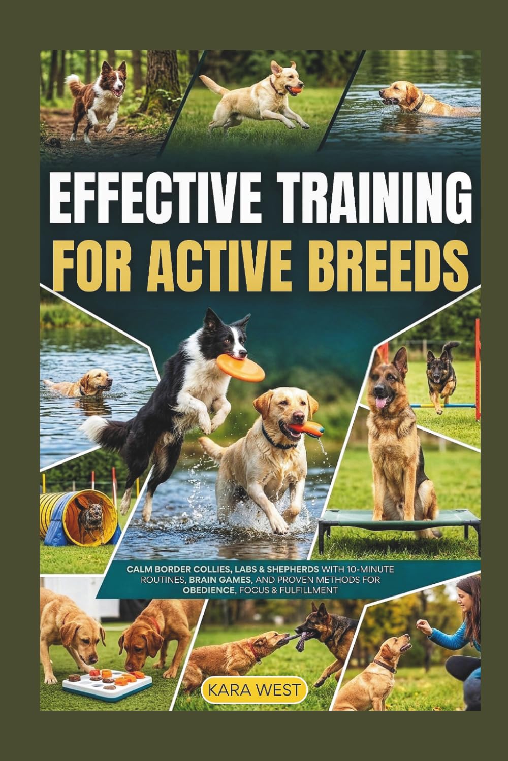 Training High Energy Dogs: Effective Training for Active Breeds: Calm Border Collies, Labs & Shepherds with 10-Minute Routines, Brain Games, and Proven Methods for Obedience, Focus & Fulfillment