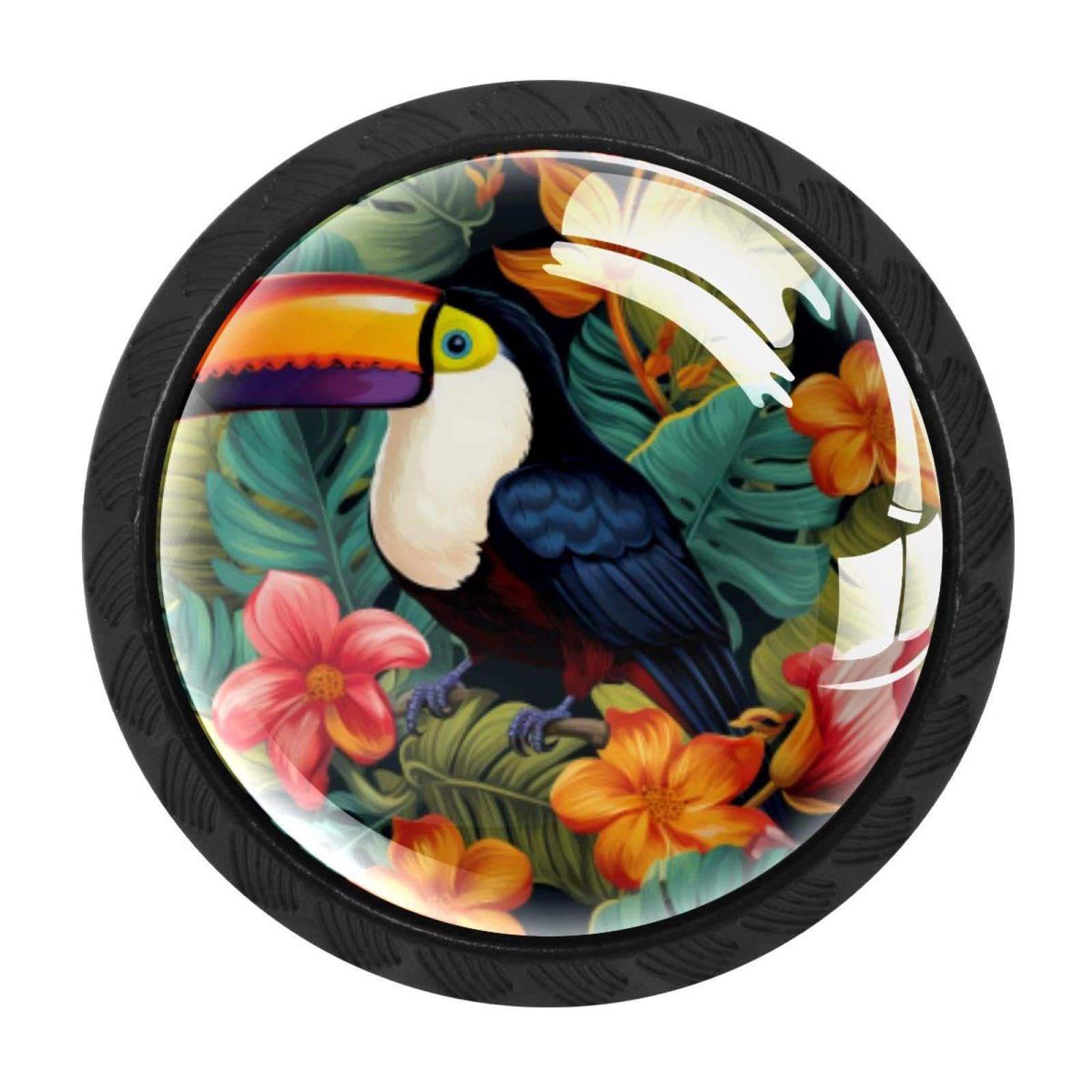 CHENZZZZ 4 Pack Round Cabinet Knobs for Kitchen Bathroom Closet Dresser Cabinets, Toucan
