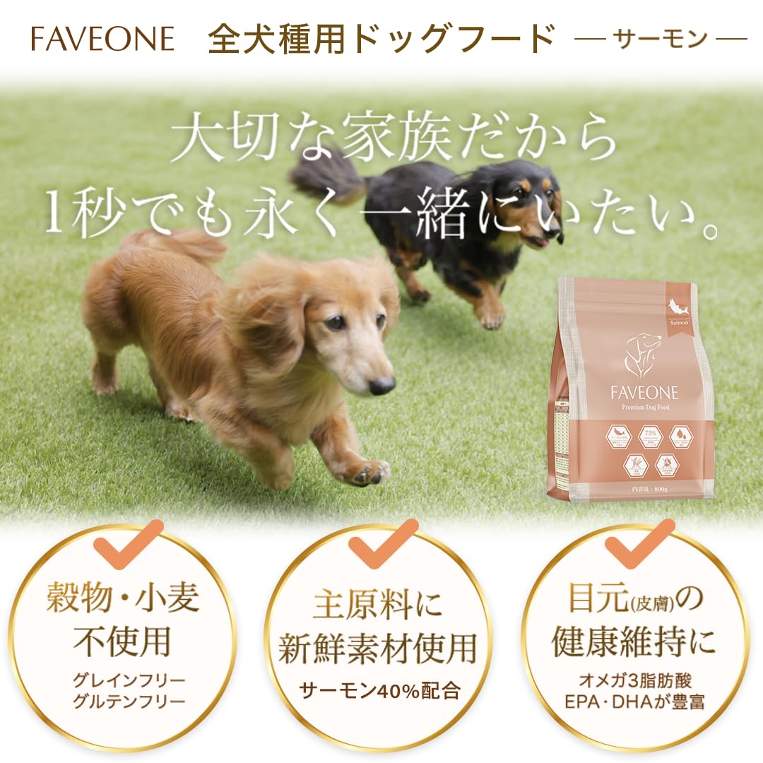 F☆FAVEONE プレミアムドッグフード チキン (2kg x6袋 未開封) フェイヴワンについて | フェイヴワン