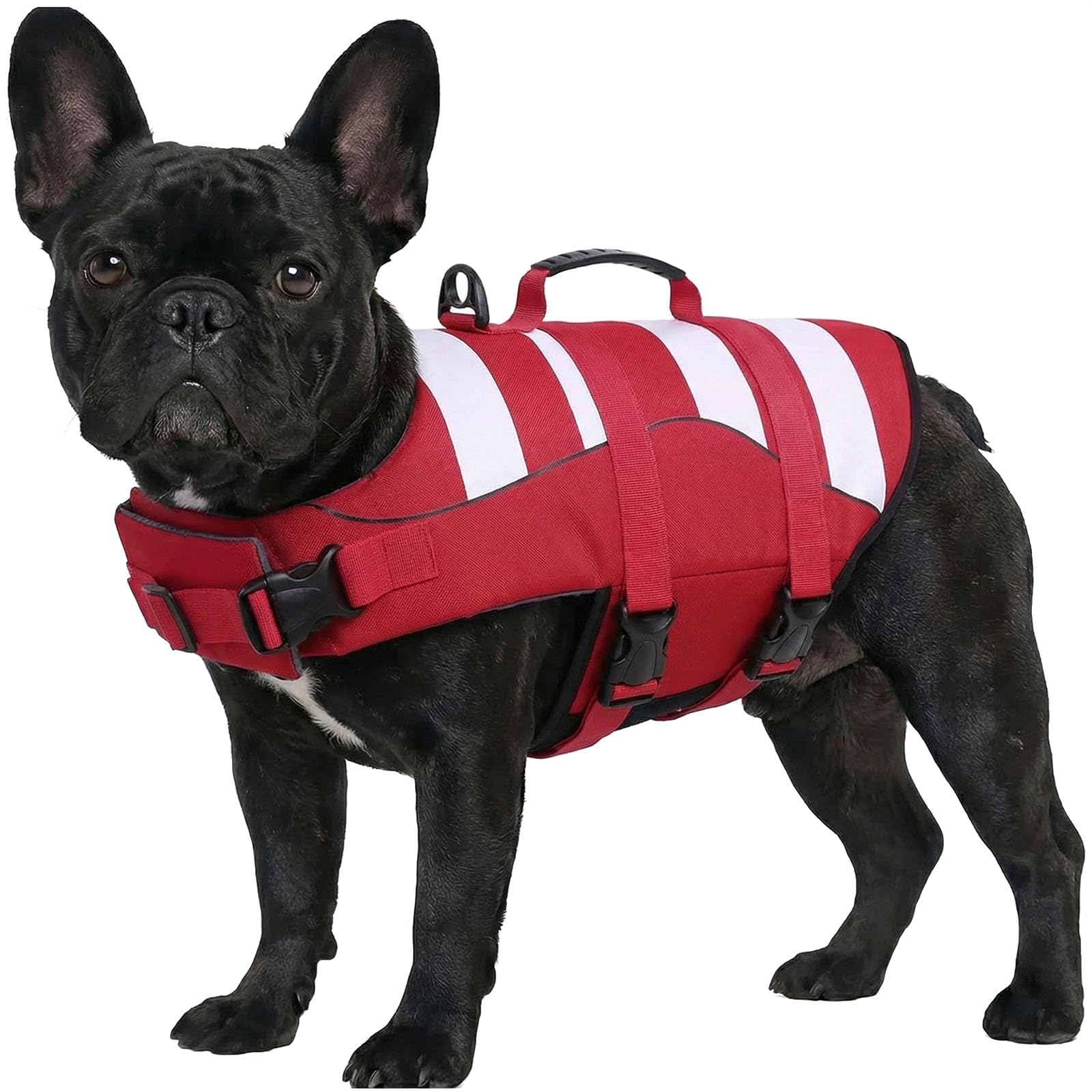 ASENKU Giubbotto Salvagente Cane Taglia Piccola S, Giubbotto Galleggiante per Cani, Aiuto al Galleggiamento per Bulldog Francese, Bassotto