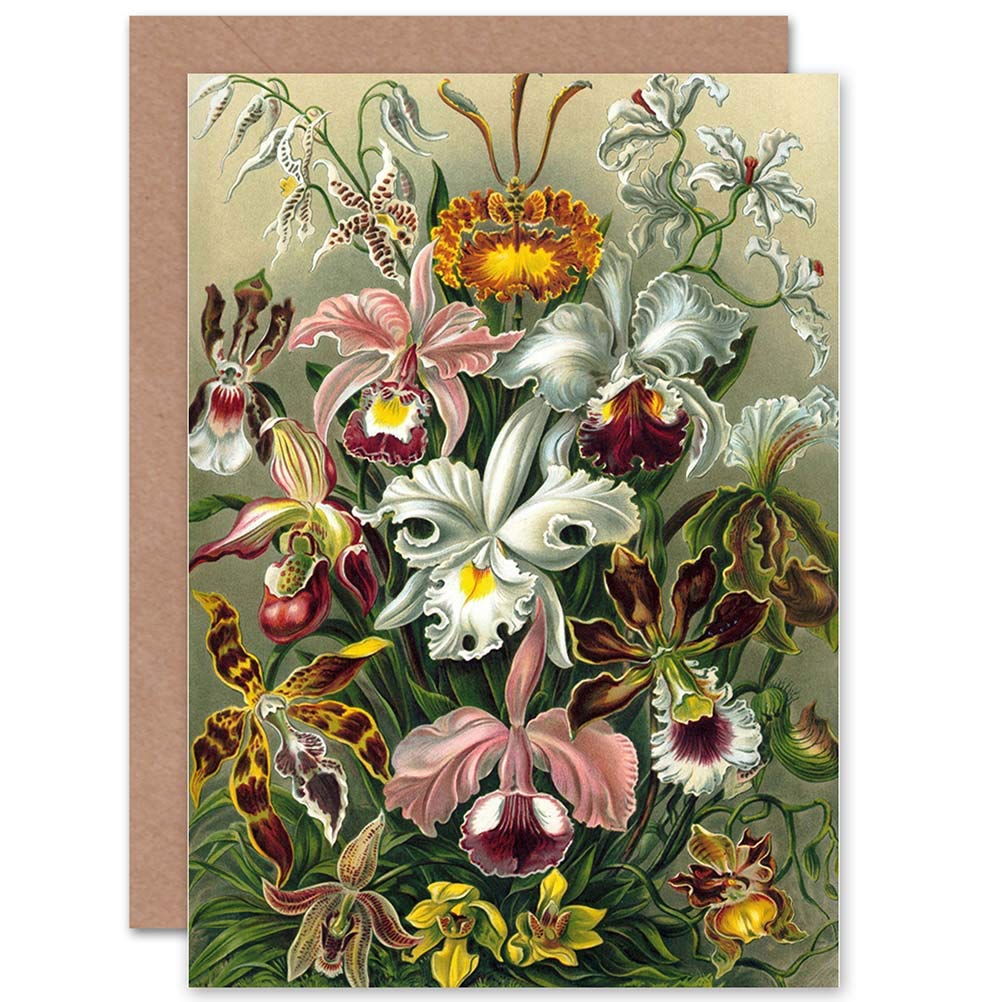 Wee Blue Coo Blue Wee Coo Nature Ernst Haeckel Plant Flower Biology Germany Greetings Card