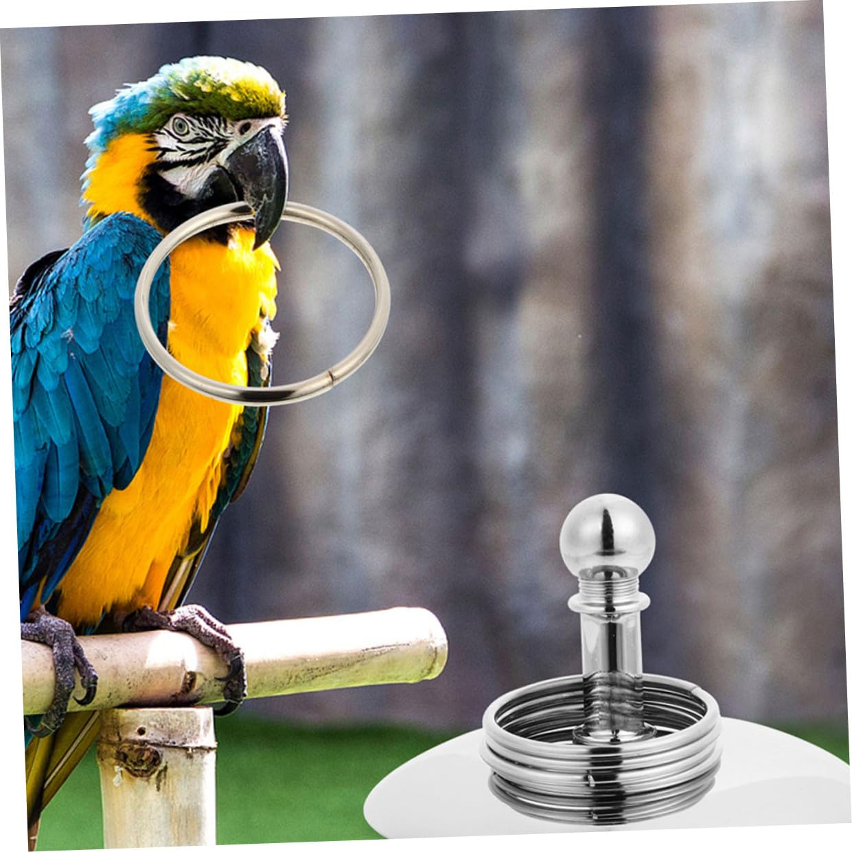 BESPORTBLE 4 Juegos De Juguetes De Entrenamiento De Inteligencia para Loros Juguetes Educativos para Pájaros para Pájaros para Loros En Bicicleta.
