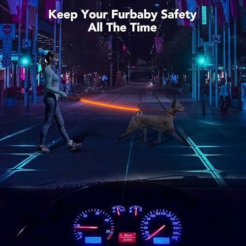 Miniatura 6 de Colaseeme Correa para perro iluminada, correas LED para mascotas, recargable por USB, luces de seguridad para perros por la noche (4 pies, naranja)