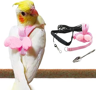 Bird Harness, Cockatiel Harness, Conure Harness and Leash, Parakeet Leash for Budgies, with Feeding Spoon, for Parrot Training (Pink L)