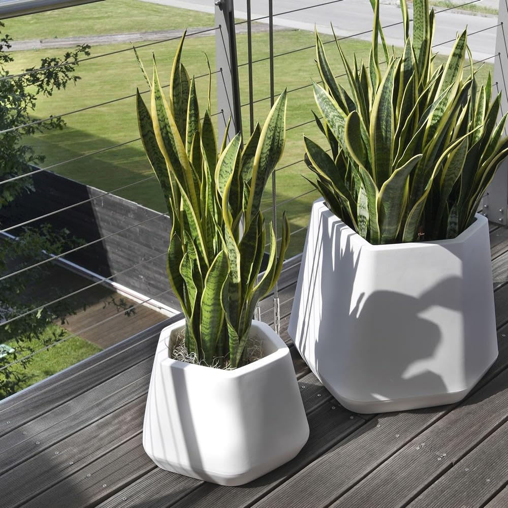 Danieli Vasi Luminosi da Giardino | Vaso luminoso da interno ed esterno | Fioriera e Vasi a led a risparmio energetico 100% Made in Italy (MEDIUM, Bianco CALDO)