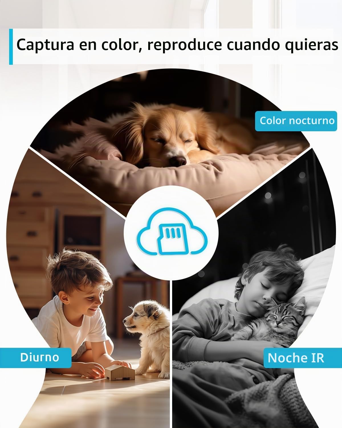 blurams Cámara de Vigilancia WiFi Interior 2K para Domicilio, 360°, Detección AI de Personas y Mascotas, Visión Nocturna a Color, Alerta en Tiempo Real, Audio Bidireccional, con Alexa, Solo 2.4G WiFi