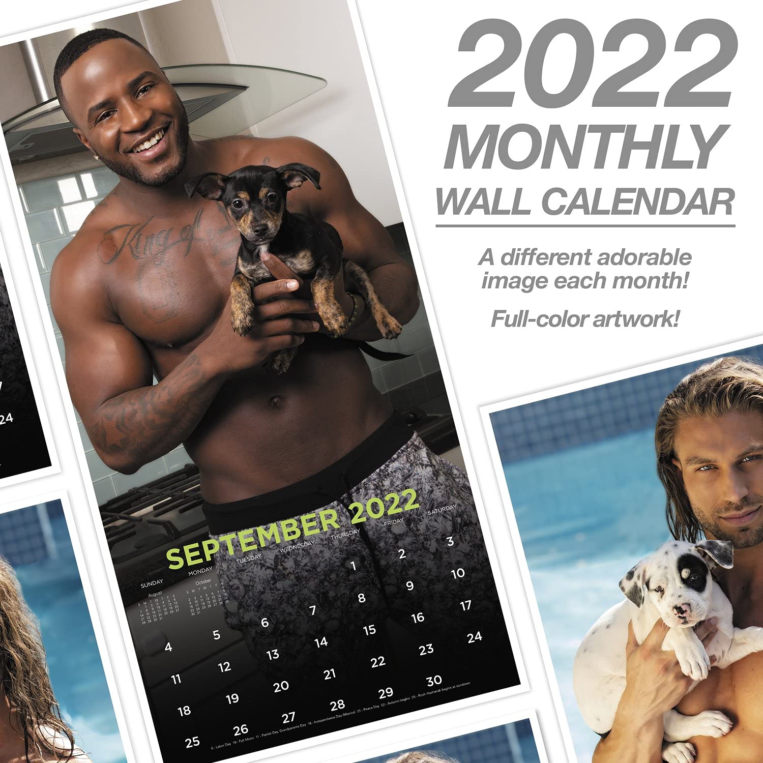 2022 Furrever Hotties Muurkalender, 12" X 12", Maandelijks (DDW20128